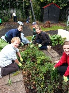 At work in transforming the garden at Rathmines Womens Refuge
